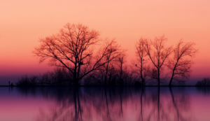 英国选手再次夺冠，再创佳绩